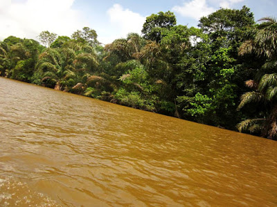 Canal de Tortuguero en Costa Rica
