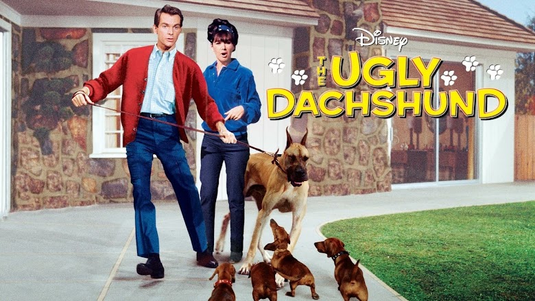 Geliebter Haustyrann 1966 film gucken