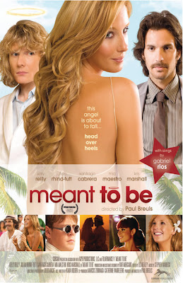 Watch Meant to Be 2010 BRRip Hollywood Movie Online | Meant to Be 2010 Hollywood Movie Poster