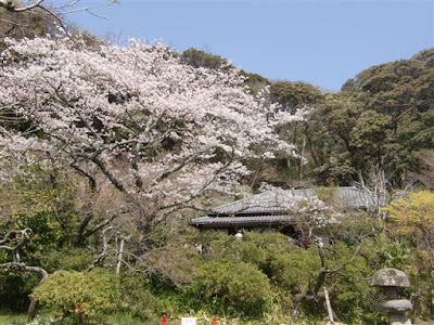  旧川喜多邸別邸