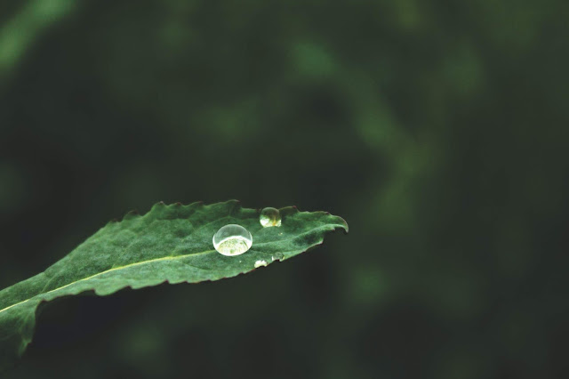 droplet