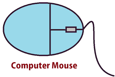 Computer Mouse is a ponting input devices of computer.