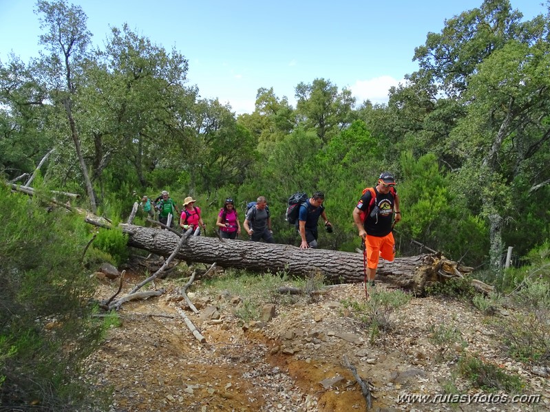 El Colmenar - Camino de los Arrieros - Puerto de los Peñones - Puerto de la Venta - Garganta de Los Charcones