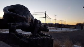 FHS Panther at the new high school fields donated by the Graci family