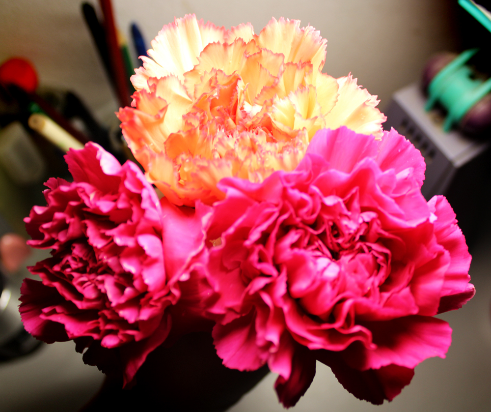 Cerita Yna: Tiga Kuntum Bunga Carnation