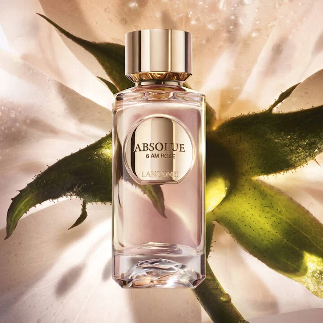 Lancôme 6 AM Rose, Lancôme Absolue Les Parfums Collection, parfums lancôme haute parfumerie