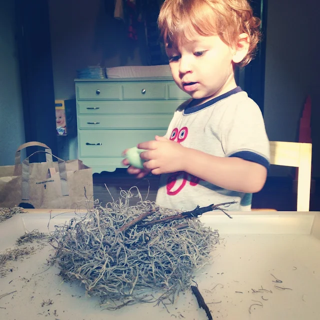 Tot school trays for the letter n. This theme explores numbers, names, nests and nuts! 