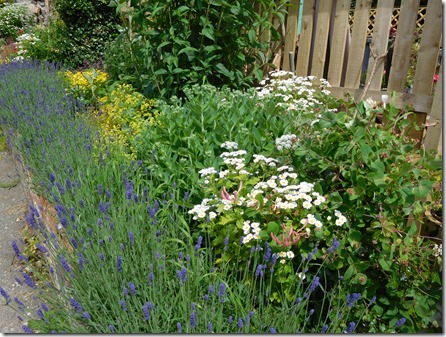 10 pretty garden below top lock