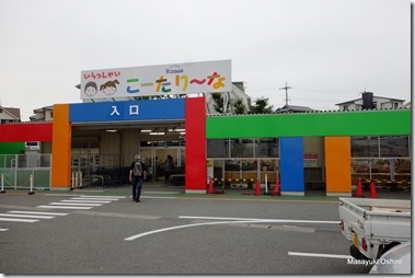 05-DSC07647
