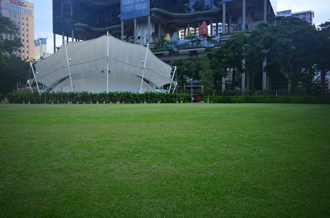 DSC_0006.jpg DSC 0006