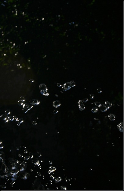 2007-10-020053