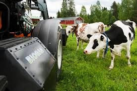 Tahapan Proses Pembuatan Biogas