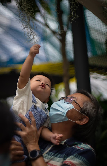 Bringing Babies to Jewel, Changi's Canopy Park