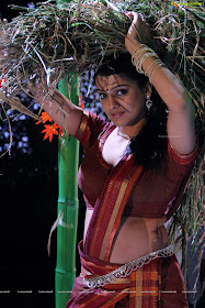 Tashu Kaushik in saree