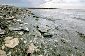 pencemaran laut