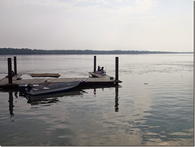 P9133145