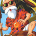 disfraz casero del Maestro Roshi de Dragon Ball