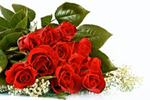 LOVELY RED ROSES WALLPAPERS HD IMAGES FOR DESKTOP OR ANDROID 