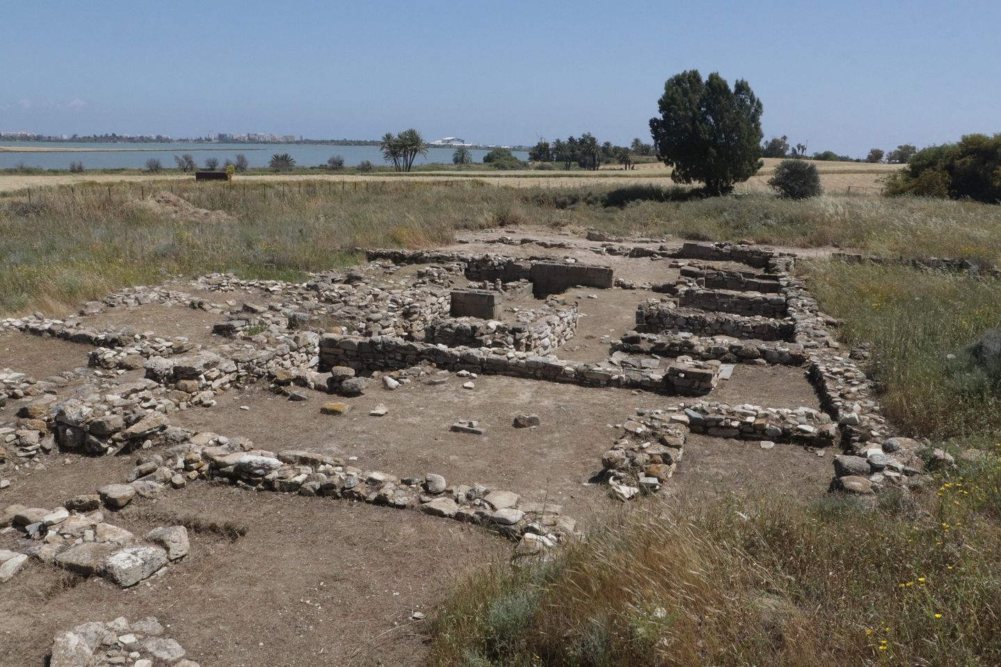 Κύπρος: Ανασκαφές στη θέση Δρομολαξιά-Βυζακιά (Περιοχή Οκτώ)