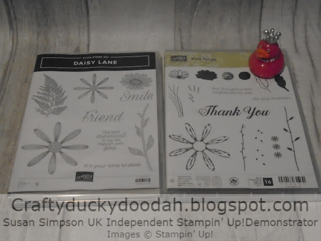 Craftyduckydoodah!, Stampin' Up! UK Independent  Demonstrator Susan Simpson, Daisy Delight, Daisy Lane, Daisy Punch, Supplies available 24/7 from my online store, 