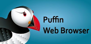 Puffin Web Browser Pro v4.6.1.2083 (Full) APK