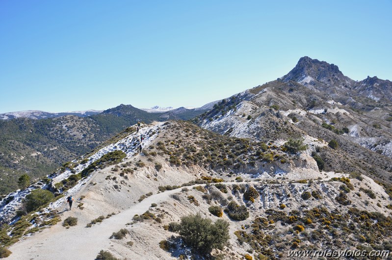 Trevenque - Cerro del Cocón - Cerro Gordo - Pico de la Carne