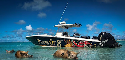 Swim with Pigs Exuma cay Bahamas