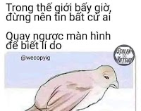 Troll lừa quay màn hình và không có gì
