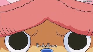 ワンピースアニメ ドレスローザ編 OPテーマ 17 | ONE PIECE Wake up! AAA