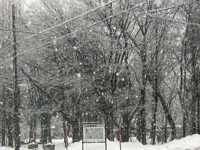 降雪