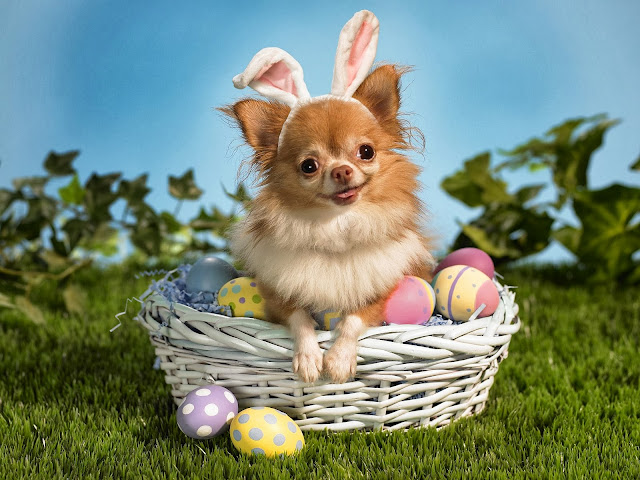 3D Beautiful Easter Wallpapers Free Download