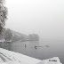 Καστοριά: Χιονισμένη γυρολιμνιά. Φωτό - Video