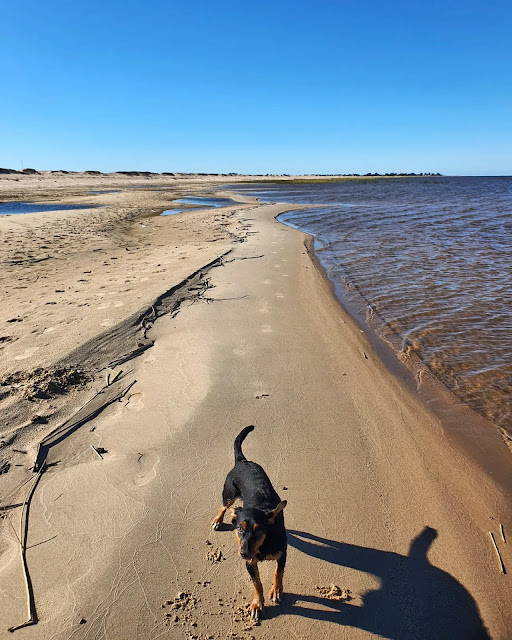 Bañado del Yacaré, Uruguai