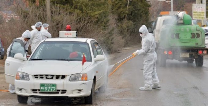 Nova estirpe da gripe das aves foi confirmada na Coreia do Sul