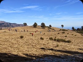 IMG_7674