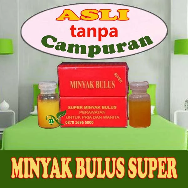 Minyak Bulus Asli Multi Khasiat