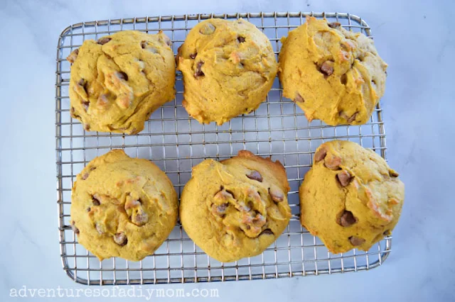 soft pumpkin cookies with chocolate chips