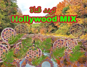 تردد قناة Hollywood MIX  على نايل سات لمشاهدة أفضل الأفلام الأمريكية مترجمة للعربية