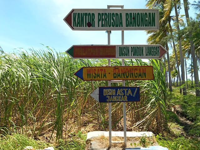 PANTAI FIRDAUS YANG MEMBIUS DI DUSUN BANONGAN YANG PENUH KENANGAN