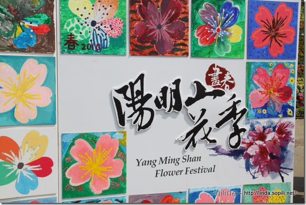 2010陽明山花季-圖示