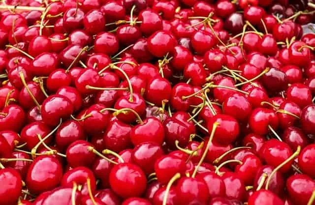 Red cherries are not only attractive and attractive to look at, but also have many benefits. This small fruit which is rich in nutrients is available in the summer season. Cherries contain fiber and water. Nutritionists say If you want to lose weight, eat cherries.