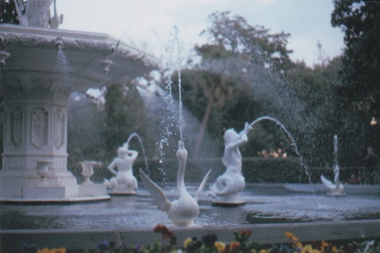 First roll 26