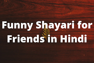 Funny Shayari For Friends in Hindi
