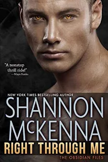Right Through Me, a paranormal romantic suspense novel by Shannon McKenna