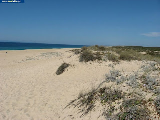 BEACH / Praia da Costa de Santo André, Santiago do Cacém, Portugal