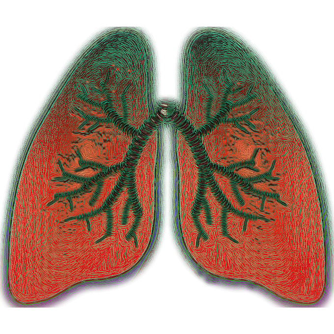 Shortness of breath | causes of shortness of breath | breathing problems | treatment of shortness of breath | difficulty in breathing | Asthma