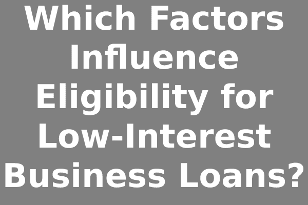 Which Factors Influence Eligibility for Low-Interest Business Loans?