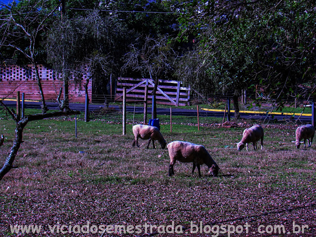 turismo em Santa Tereza, RS