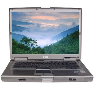 Review Dell D810 Laptop Battery