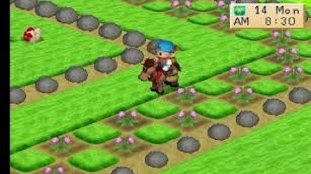  Harvest Moon adalah salah satu game yang cukup populer dan banyak dimainkan Cheat Harvest Moon Back to Nature Terbaru